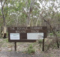 Box Vale Picnic Area - Schoolies Week Accommodation