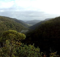 Nattai Gorge Lookout - Schoolies Week Accommodation