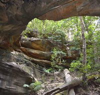 Cave Creek Walking Track - Schoolies Week Accommodation