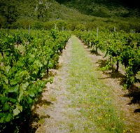 Gartelmann Wines - Schoolies Week Accommodation
