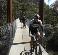 McGees Cycling Store - Schoolies Week Accommodation