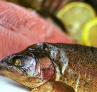 Lovedale Smokehouse Gourmet Pantry Cafe and Masterclasses - Schoolies Week Accommodation