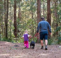 Olney State Forest - Watagan Mountains - Schoolies Week Accommodation