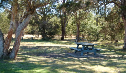 Werakata National Park - Schoolies Week Accommodation 1