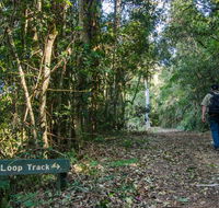 Basin Loop track - Schoolies Week Accommodation