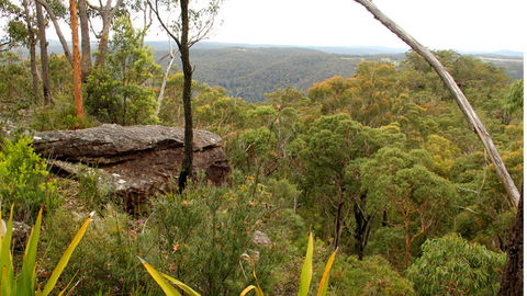 Popran National Park - Schoolies Week Accommodation 3