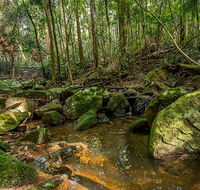 Palm Grove Nature Reserve - Schoolies Week Accommodation