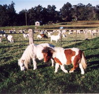 Trudgalong Farm - Schoolies Week Accommodation