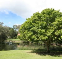 Hervey Bay Botanic Gardens - Schoolies Week Accommodation