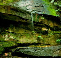Strickland State Forest - Schoolies Week Accommodation