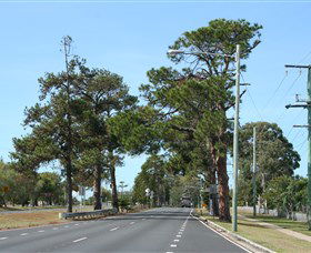 Anzac Memorial Avenue, Redcliffe - Schoolies Week Accommodation 2