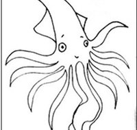 Squid Studio - Schoolies Week Accommodation