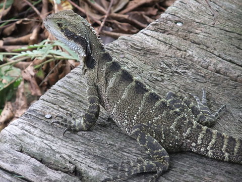 Campbells Store Craft Centre - Schoolies Week Accommodation 1
