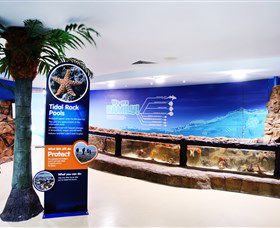 Sea Life Sunshine Coast - Schoolies Week Accommodation 2