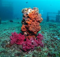 HMAS Brisbane Dive Site - Schoolies Week Accommodation