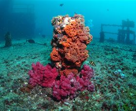 HMAS Brisbane Dive Site - Schoolies Week Accommodation 0