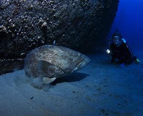 HMAS Brisbane Dive Site - Schoolies Week Accommodation 3