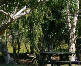 Backmede NSW Schoolies Week Accommodation