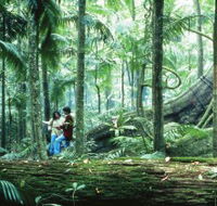 Illinbah circuit - Schoolies Week Accommodation