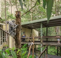 Daisy Hill Koala Centre - Schoolies Week Accommodation