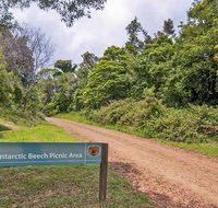 Antarctic Beech picnic area - Schoolies Week Accommodation