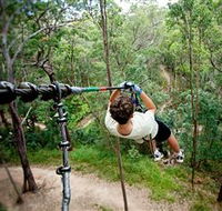 TreeTop Challenge - Schoolies Week Accommodation
