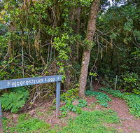 Falcorostrum loop walking track - Schoolies Week Accommodation
