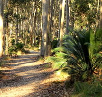 Square Head track 2 - Schoolies Week Accommodation