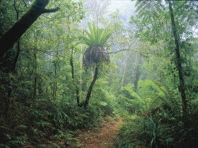 Wagawn - Schoolies Week Accommodation 0