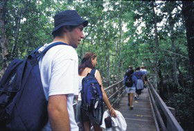 Wagawn - Schoolies Week Accommodation 1
