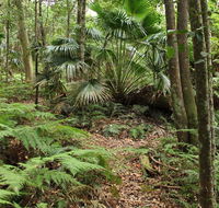 Durras Lake Discovery trail - Schoolies Week Accommodation