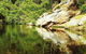 Numinbah Valley Adventure Trails - thumb 1