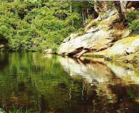 Numinbah Valley Adventure Trails - Schoolies Week Accommodation 1