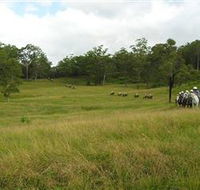 Numinbah Valley Adventure Trails - Schoolies Week Accommodation
