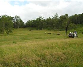 Numinbah Valley Adventure Trails - Schoolies Week Accommodation 0