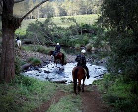 Numinbah Valley Adventure Trails - Schoolies Week Accommodation 3