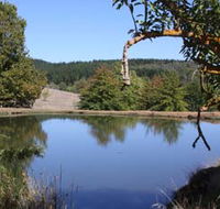 Oak Grove Walk Balingup - Schoolies Week Accommodation