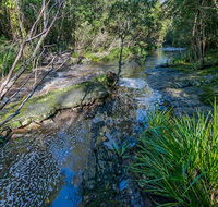 Dawson River walking track - Schoolies Week Accommodation