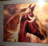 Silk Art Gallery - Schoolies Week Accommodation