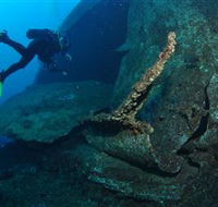 Cementco Dive Site - Schoolies Week Accommodation