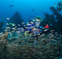 Aarhus Dive Site - Schoolies Week Accommodation