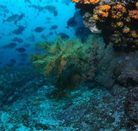 Henderson Rock Dive Site - Schoolies Week Accommodation