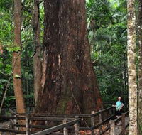 Bird Tree and Benaroon - Schoolies Week Accommodation
