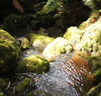 South East Forests National Park - Schoolies Week Accommodation