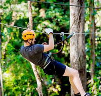 TreeTop Challenge Currumbin - Schoolies Week Accommodation