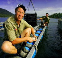 Armstrong Oysters - Schoolies Week Accommodation