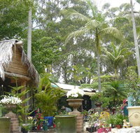 Diamond Waters Garden Nursery