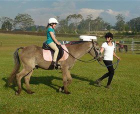 Port Macquarie Horse Riding Centre - Schoolies Week Accommodation 0