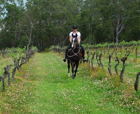 Port Macquarie Horse Riding Centre - Schoolies Week Accommodation 1
