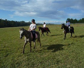 Port Macquarie Horse Riding Centre - Schoolies Week Accommodation 5